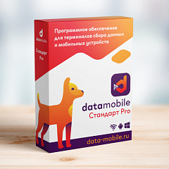 ПО DataMobile, версия Стандарт Pro в Тольятти