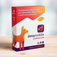 ПО DataMobile, версия Online Lite в Тольятти